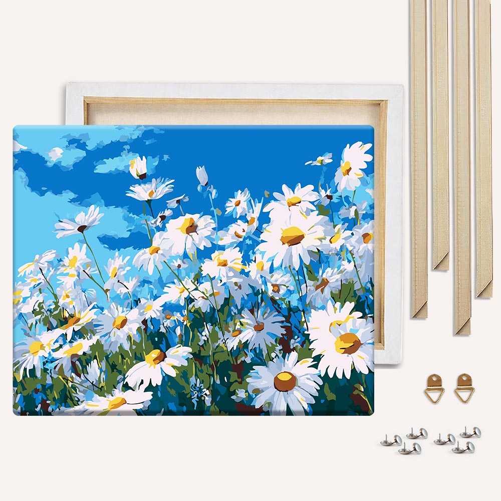 Summer Daisies
