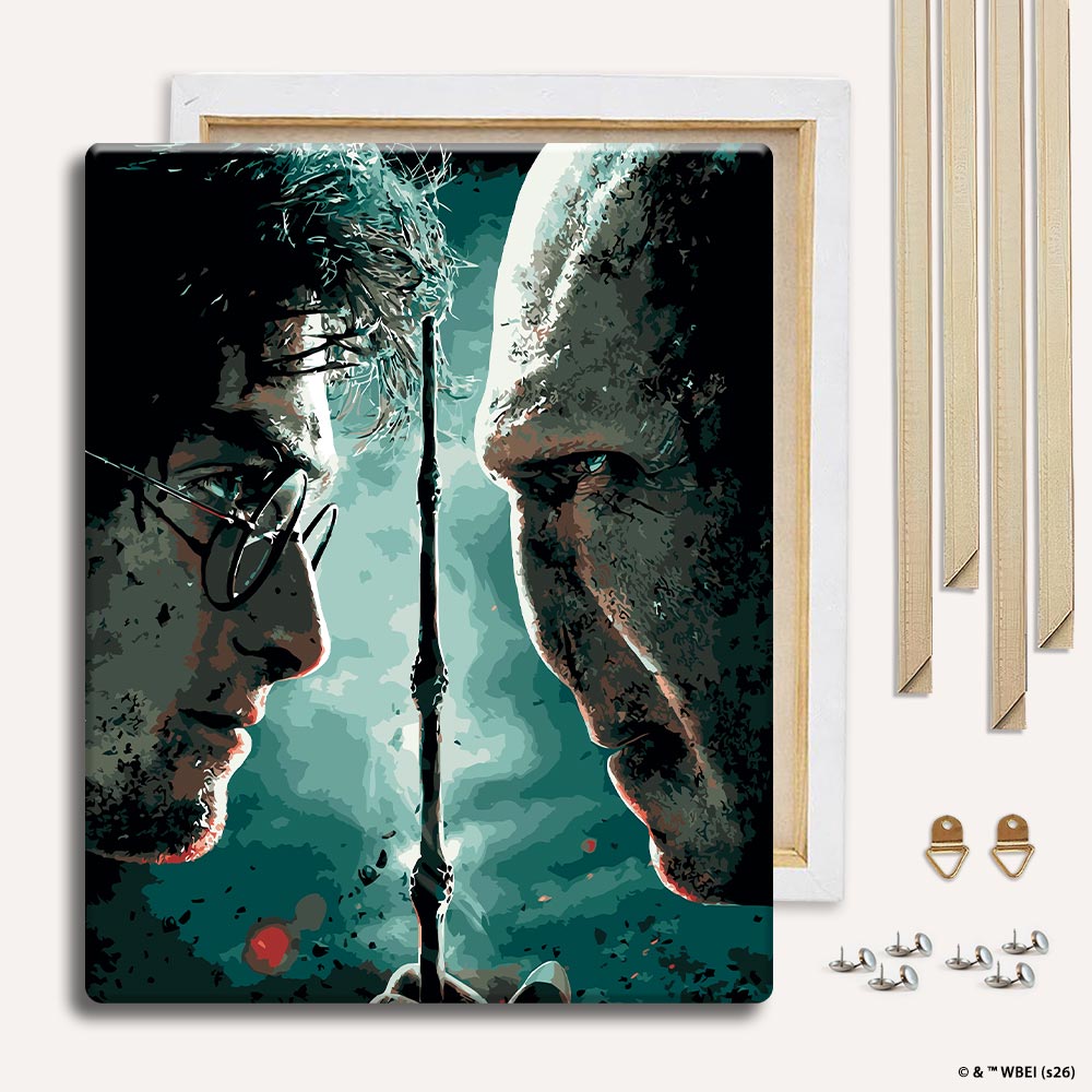 Harry vs Voldemort