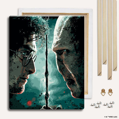 Harry vs Voldemort