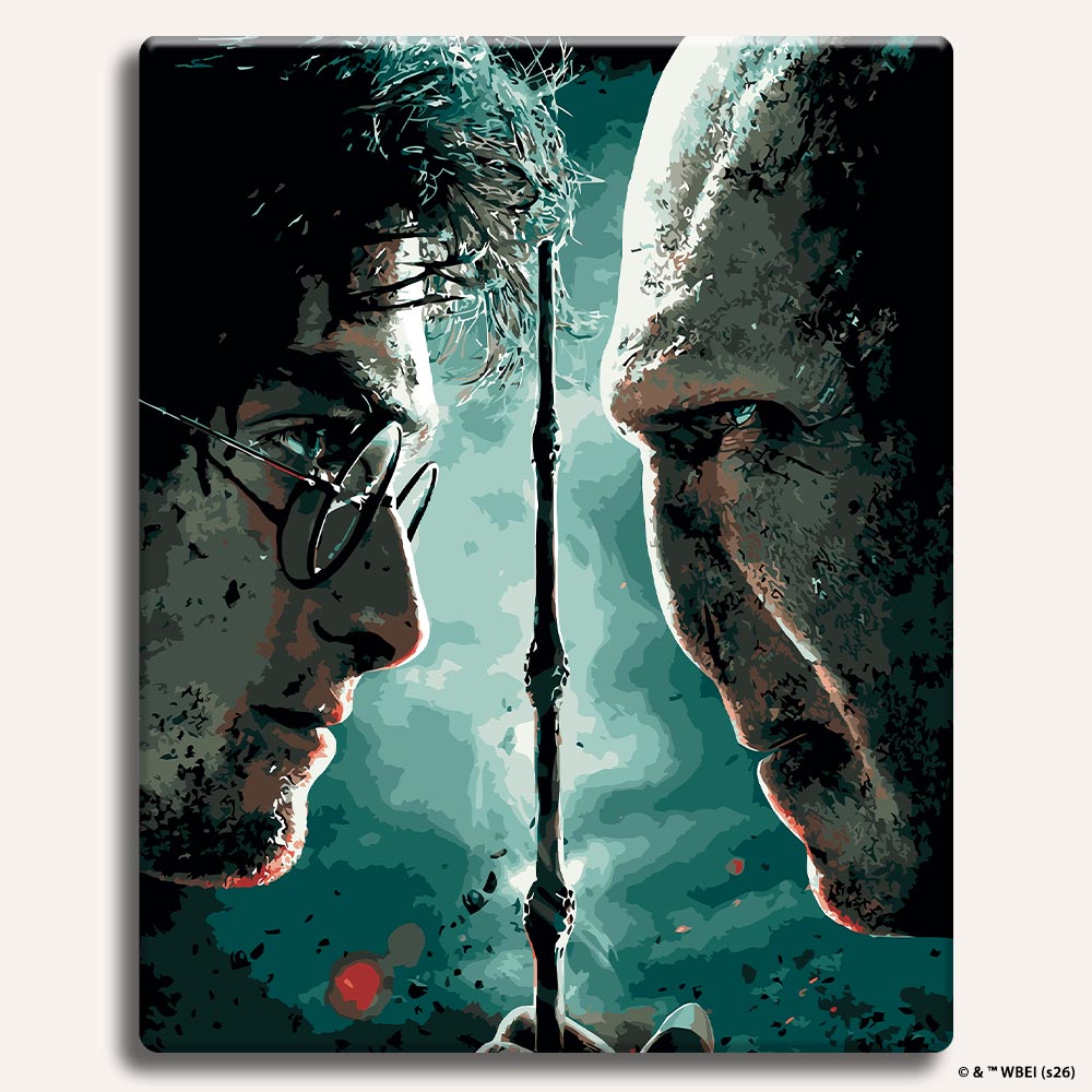 Harry vs Voldemort