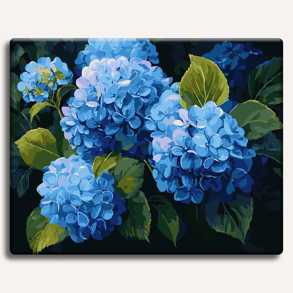 Blue Hydrangeas