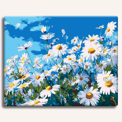 Summer Daisies