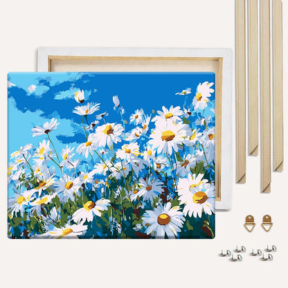 Summer Daisies